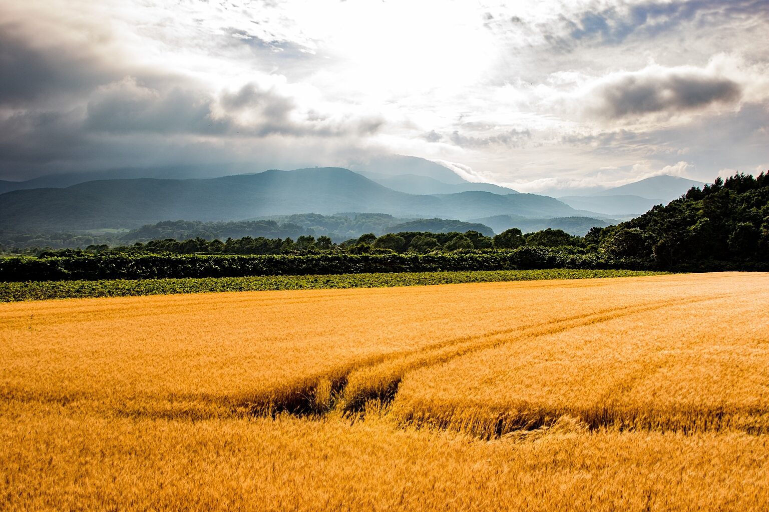 20150809 Niseko Photography V0 A6437 1