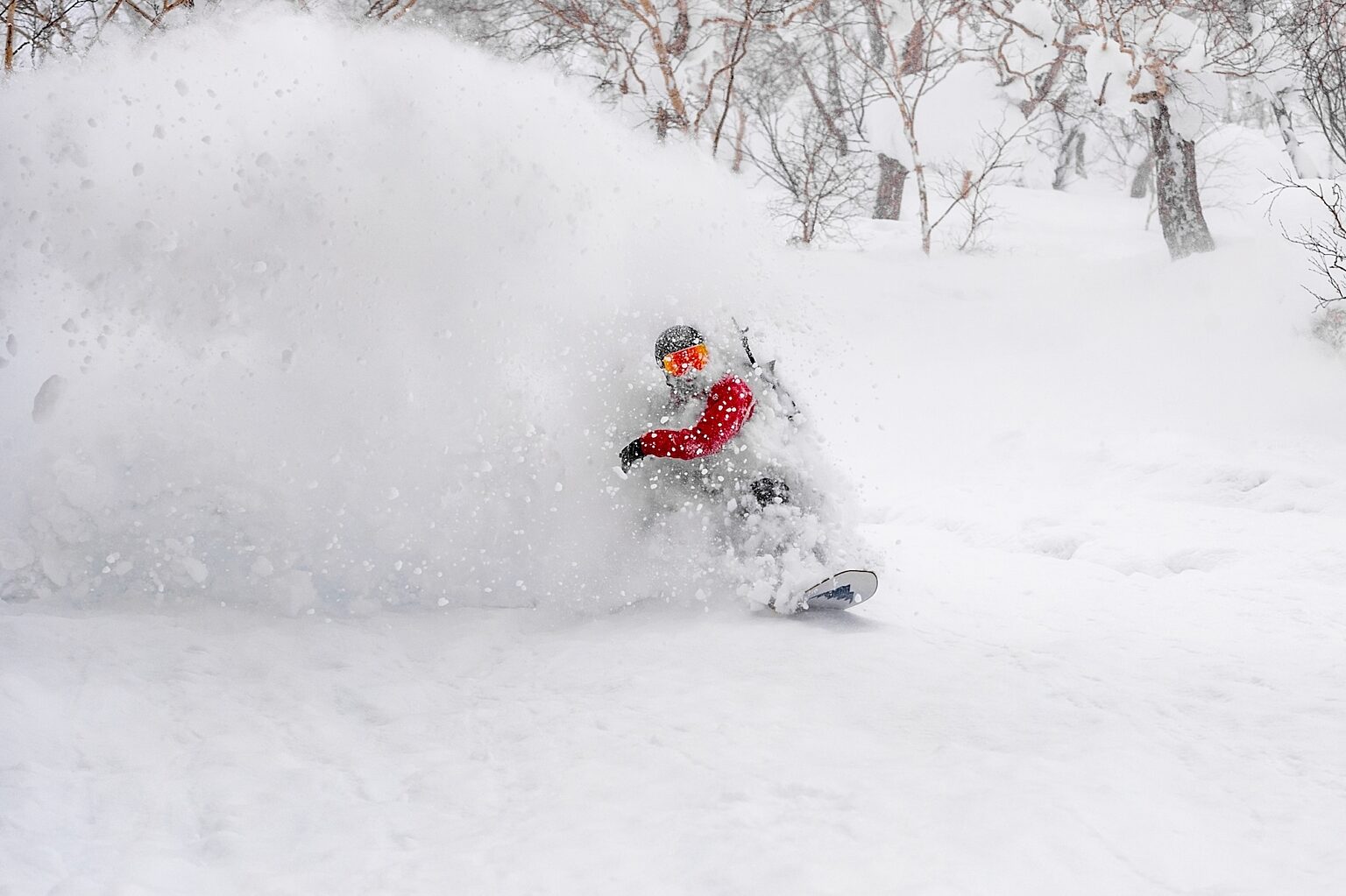 230220 Niseko Photography Elsie 3463