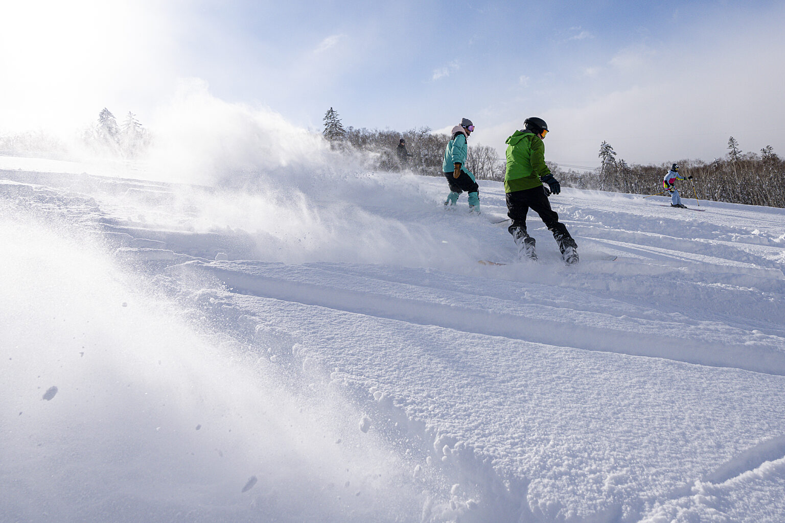POWDER SNOWSKI JIM03631